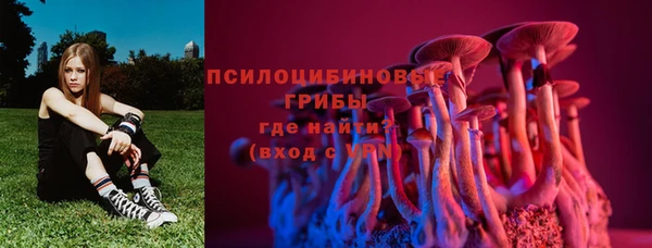 ешки Алексин