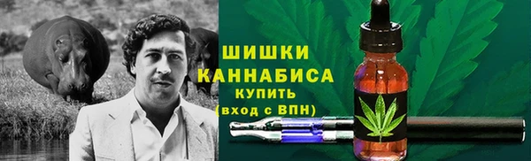 ешки Алексин
