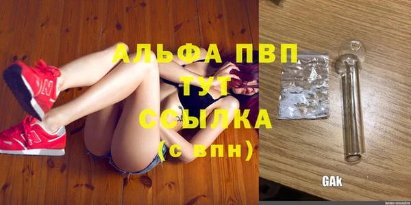ешки Алексин