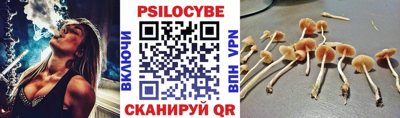 сколько стоит Березники Псилоцибиновые грибы мухоморы